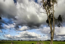 放卫星啦！全国游泳赛100蛙泳决赛，2人成绩超巴黎奥运会冠军.