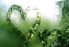 久久发：2025年保定马拉松：十万跑者的狂欢密码.