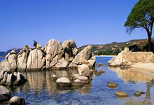 久久发：[天下足球]联赛首败 拜仁客场不敌美因茨.